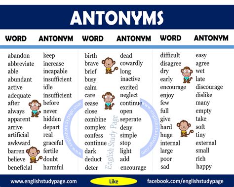 antonym of subsidiary|28 Synonyms & Antonyms for SUBSIDIARY.